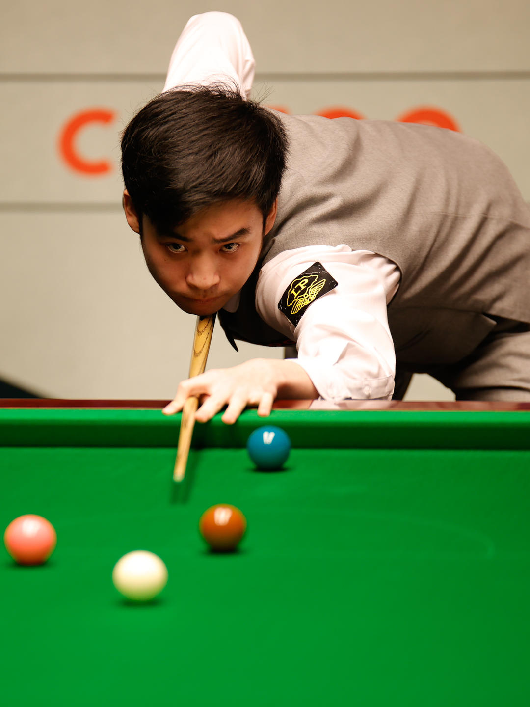 了自己设定 了自己设定