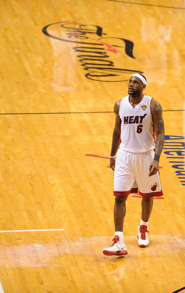 观赏性的体 观赏性的体