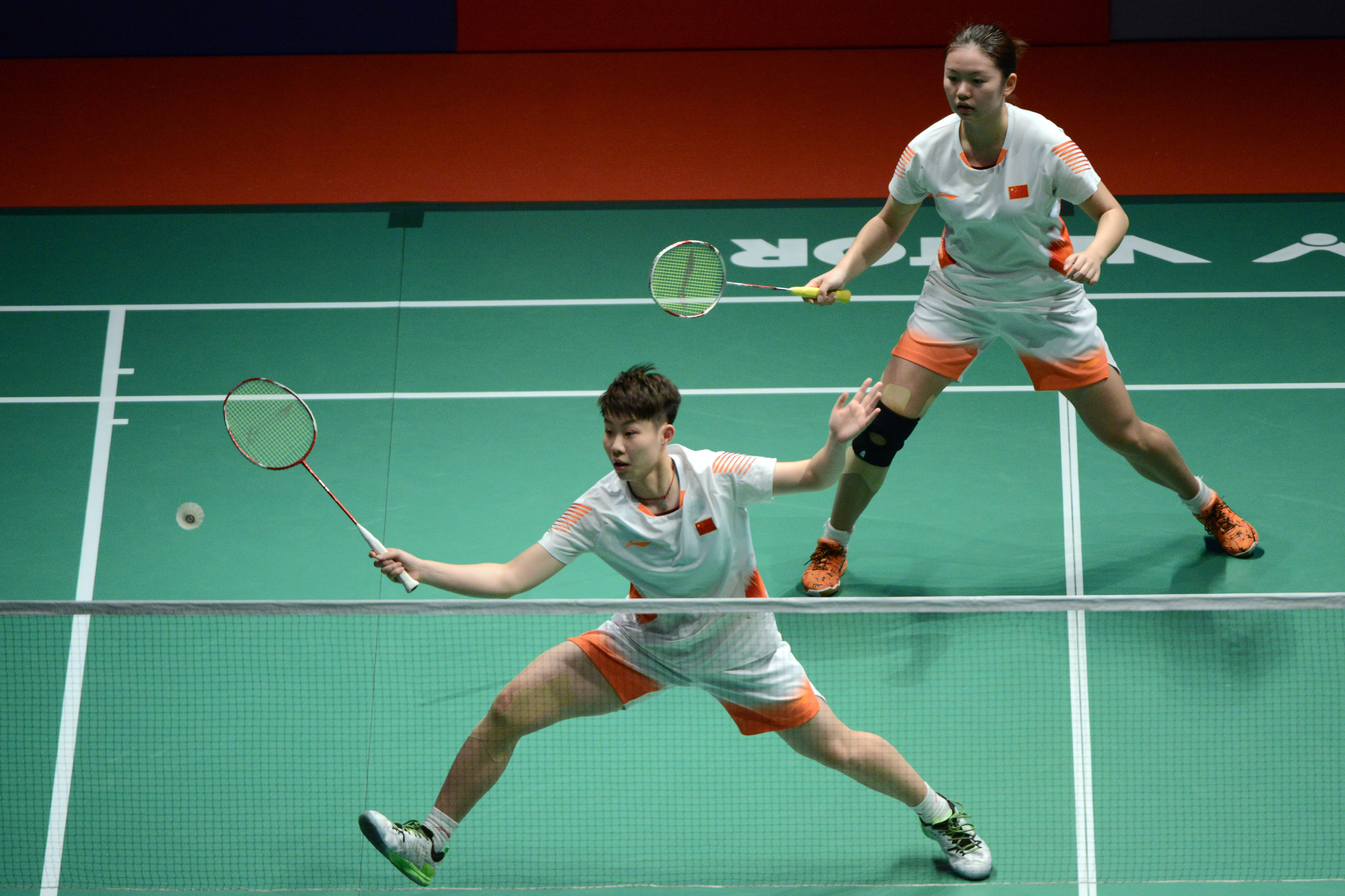 获得了显著 获得了显著